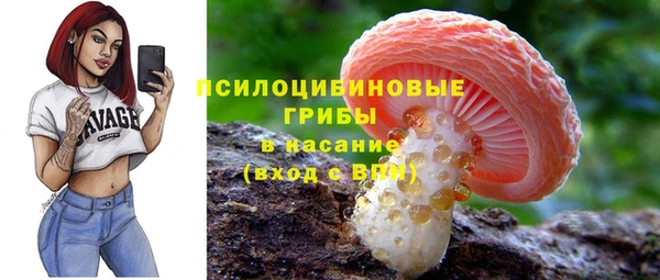 а пвп мука Няндома