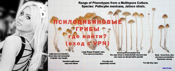 крисы Абинск