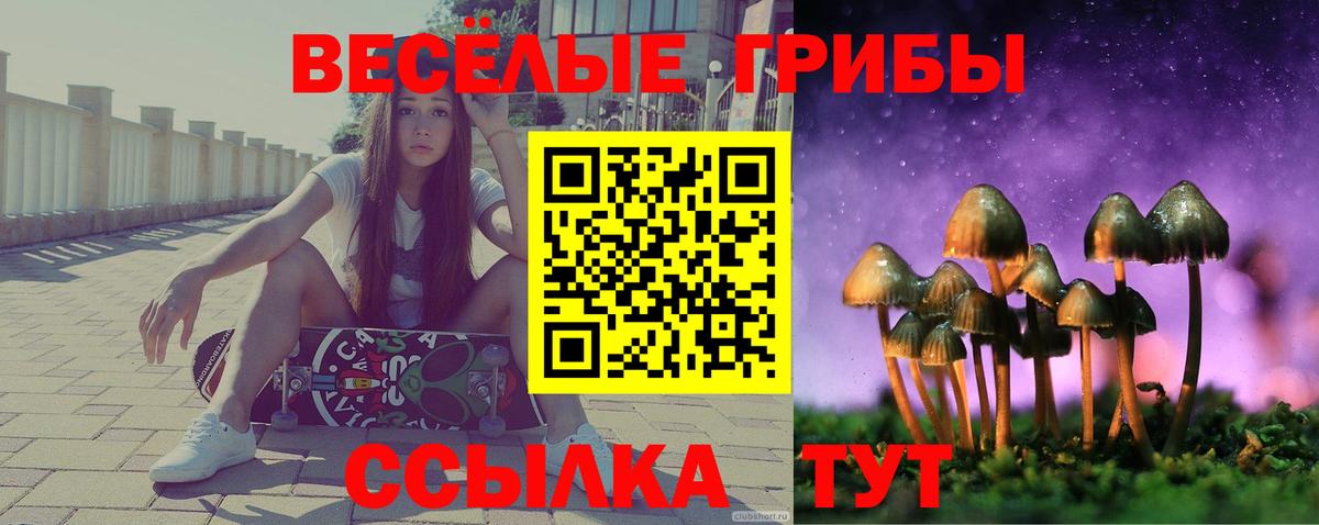 Галлюциногенные грибы Magic Shrooms  цены   Вход с VPN  Грозный  Галлюциногенные грибы Psilocybe 